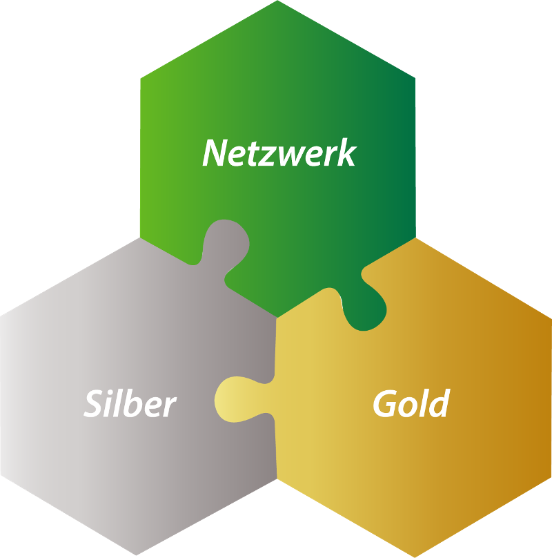 Die zwei Netzwerk für die Projektabwicklung sind Silber und Gold 
