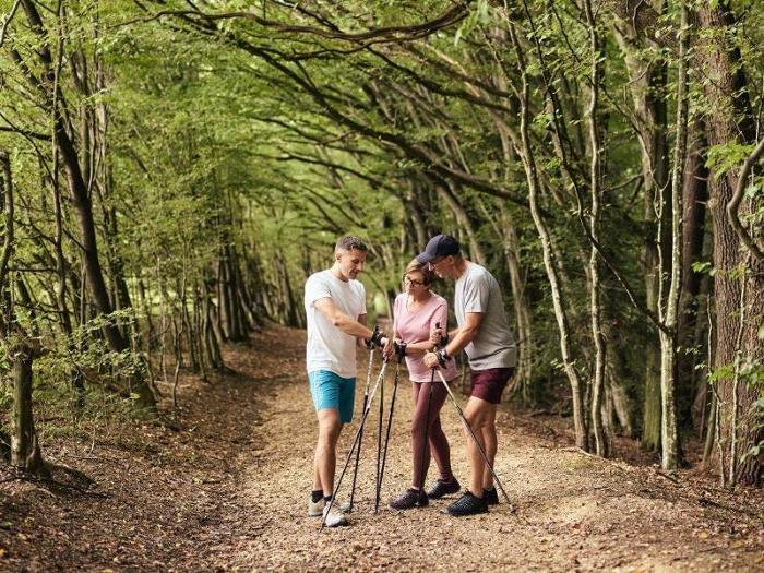 Wanderung im nahe gelegenen Wald